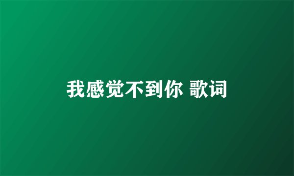 我感觉不到你 歌词