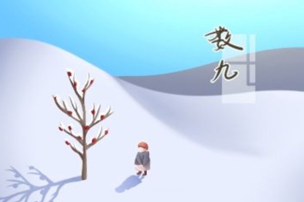 今年数到几九了，什么时候开始数九？