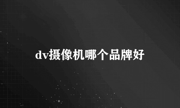 dv摄像机哪个品牌好