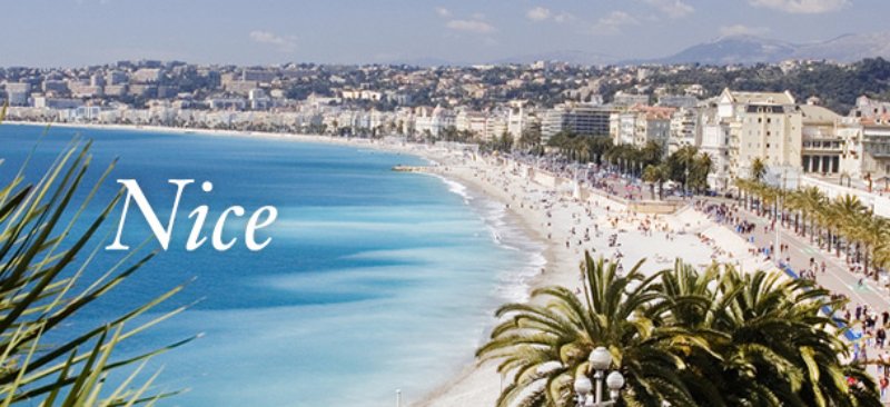 awful的反义词的翻译是：什么意思