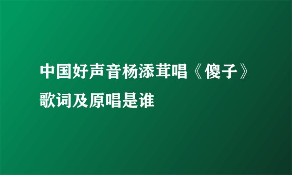 中国好声音杨添茸唱《傻子》歌词及原唱是谁