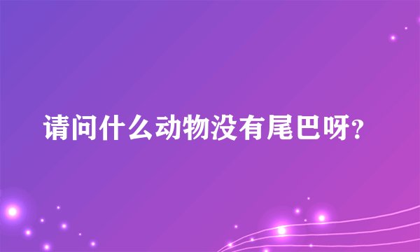 请问什么动物没有尾巴呀？