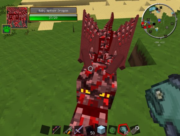 我的世界鬼龙图片