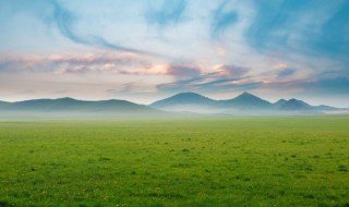 亚热带季风气候的特点 亚热带季风气候有什么特点