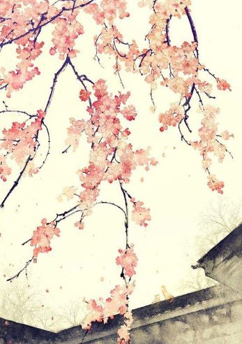 辞海打一成语是什么