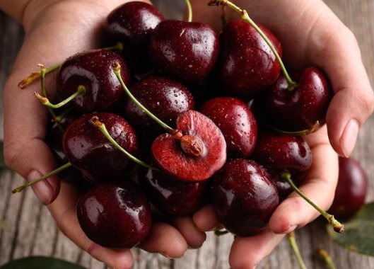 吴尊友回应车厘子等进口水果怎么吃