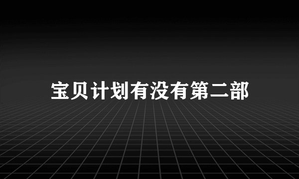 宝贝计划有没有第二部