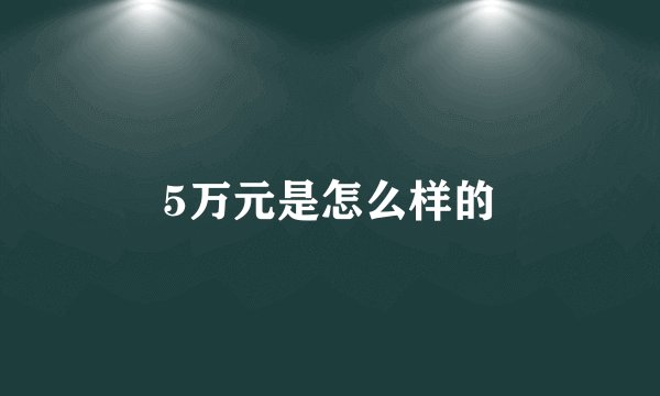 5万元是怎么样的