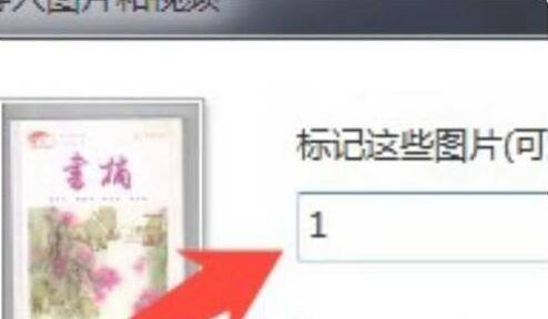 怎样用扫描仪扫图