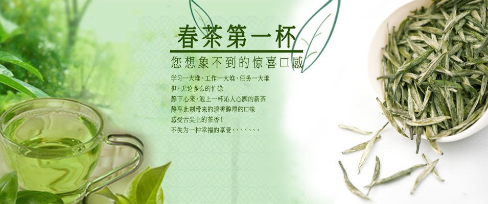 武当系统的章节目录