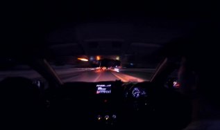 在吉林延边，深夜路遇东北虎隔车窗与人对视，遇到这种情况该怎么做？