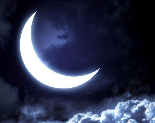 月亮不睡你不睡是哪首歌里的？