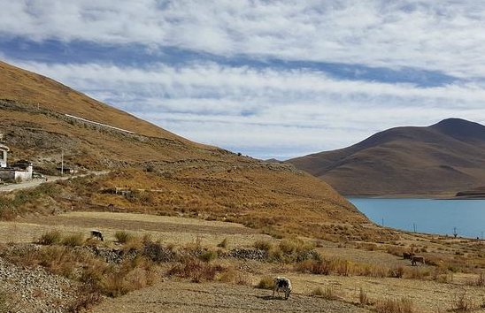 猜词语的游戏有哪些？