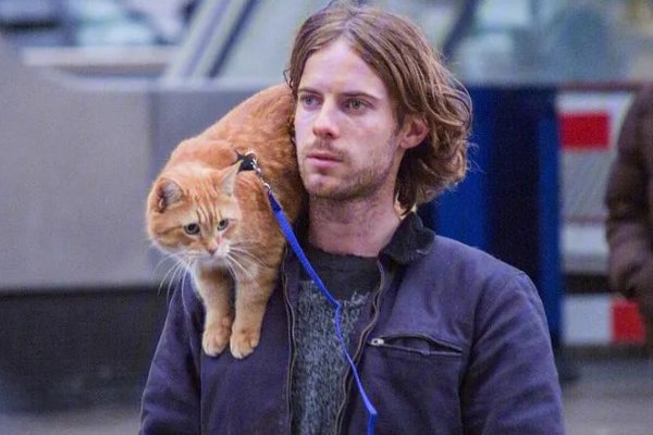 凌晨3点一个人看的电影是什么