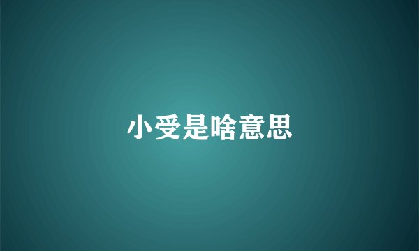 小受是啥意思