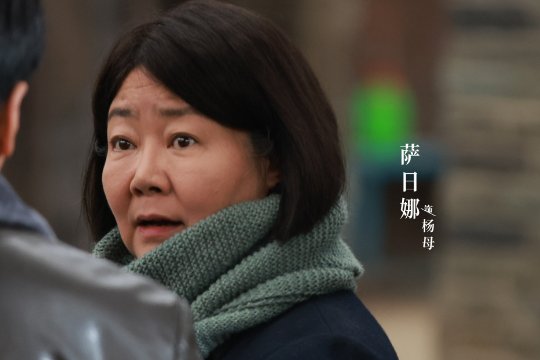 萨日娜主演的电视剧全部