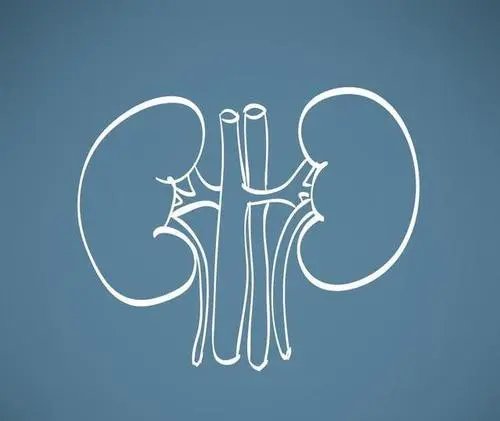 西安一尿毒症患者因封控4天未透析，目前的情况如何？