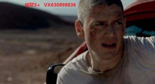 有没有大神知道越狱第五季哪里可以看？？求说一下，谢谢