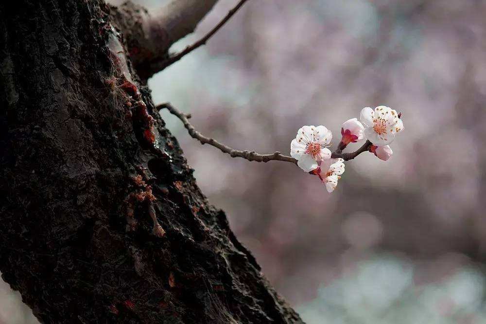 你在二月遇到过哪些温暖的瞬间？