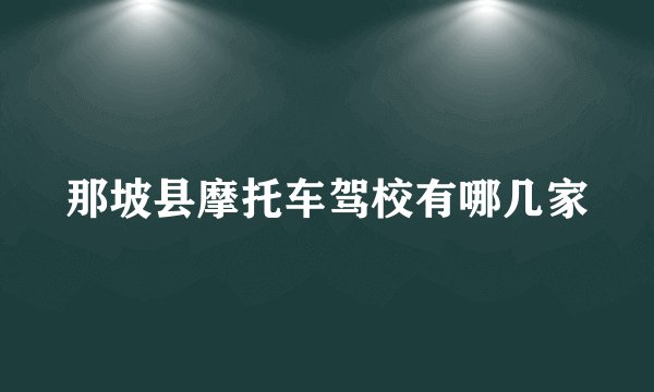 那坡县摩托车驾校有哪几家