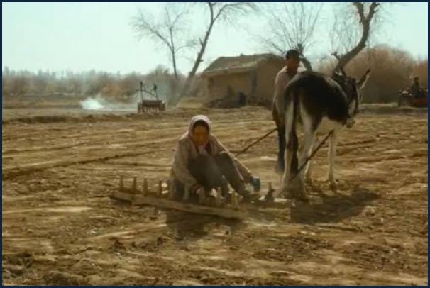 《隐入尘烟》票房逆袭破亿，其投资回报率到底有多高？