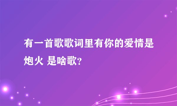有一首歌歌词里有你的爱情是炮火 是啥歌？