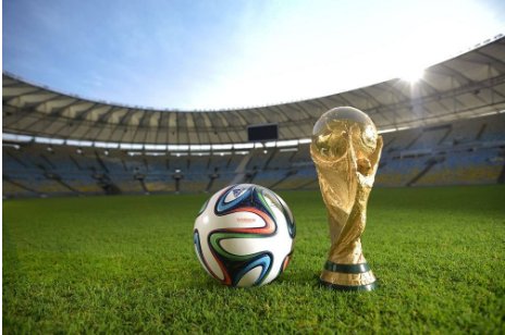 2014年世界杯那个国家得了冠军？