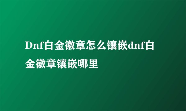 Dnf白金徽章怎么镶嵌dnf白金徽章镶嵌哪里