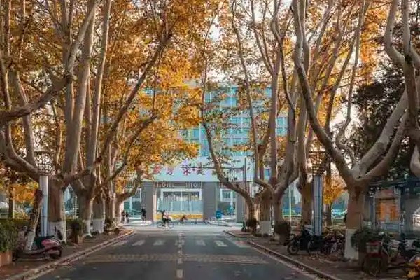 横笛闻声不见人,红旗直上天山雪.什么意思