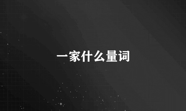 一家什么量词