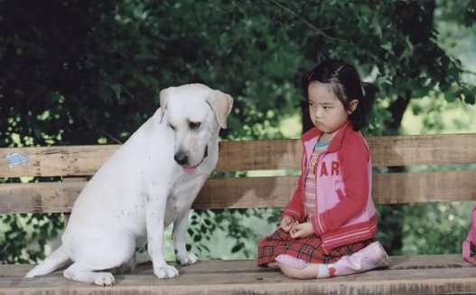 人狗奇缘里的狗真的死了吗