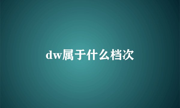 dw属于什么档次