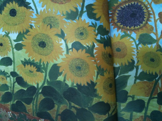 梵高奶奶的世界的目录