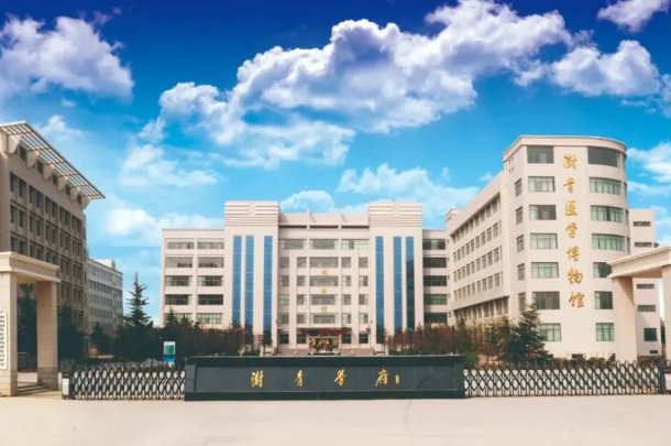 2023澍青对口录取分数