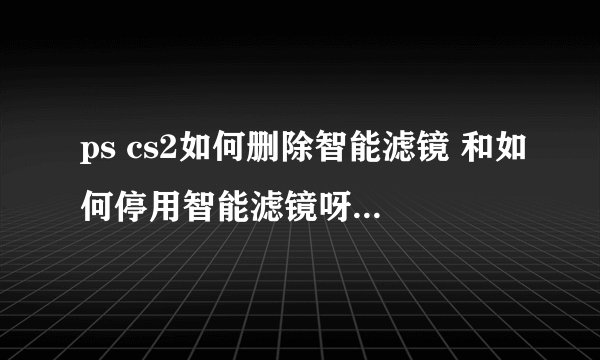 ps cs2如何删除智能滤镜 和如何停用智能滤镜呀???着急的 谢谢高手指教.