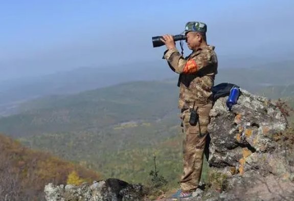 了望的意思是什么