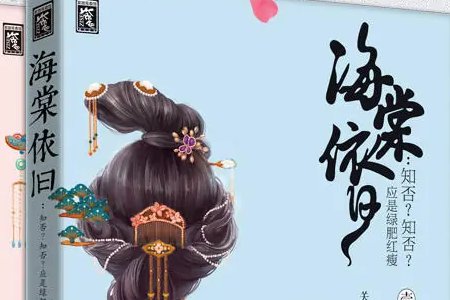 知否知否应是绿肥红瘦原小说名