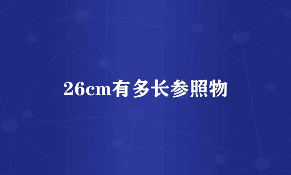26cm有多长参照物