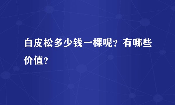 白皮松多少钱一棵呢？有哪些价值？