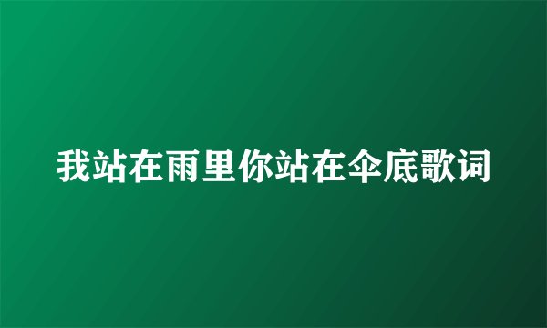 我站在雨里你站在伞底歌词