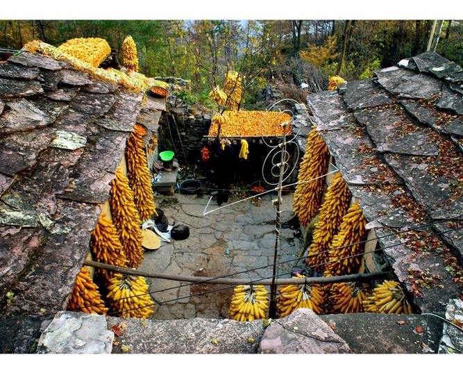 农家秋色的章节目录