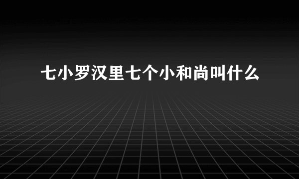 七小罗汉里七个小和尚叫什么