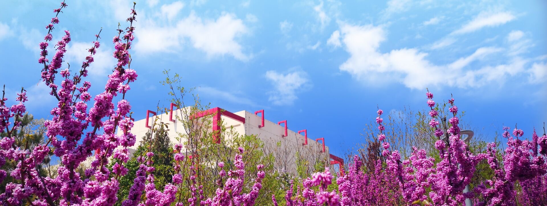 甘肃政法大学的环境和宿舍怎么样？