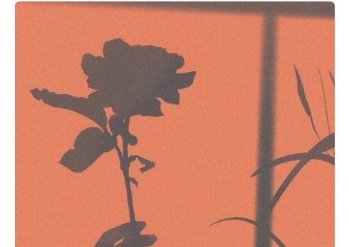 微博名字大全？