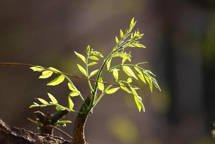 春夏秋冬哪一个季节最代表爱情？