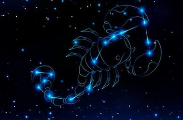 唐立淇2024年12星座运势解析