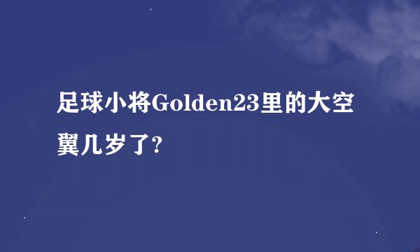 足球小将Golden23里的大空翼几岁了?