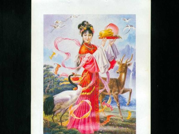 孙菲菲演的全部电视剧