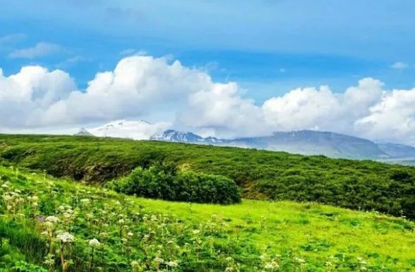 清风一吹,他们什么蜜蜂一来他们什么