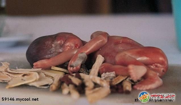 广东人吃人事件的介绍